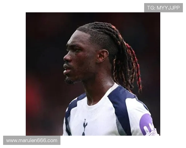 汉堡布鲁日竞逐武什科维奇 热刺新帅弗兰克将评估租借可行性 汉堡布鲁日竞逐武什科维奇 热刺新帅弗兰克将评估租借可行性